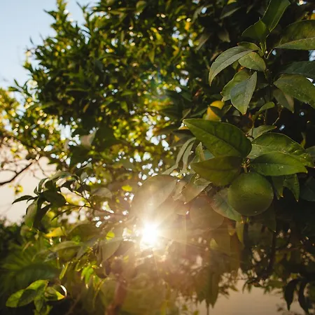 Auberge de jeunesse Orange3 Lagos