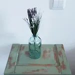 Orange3 Лагуш