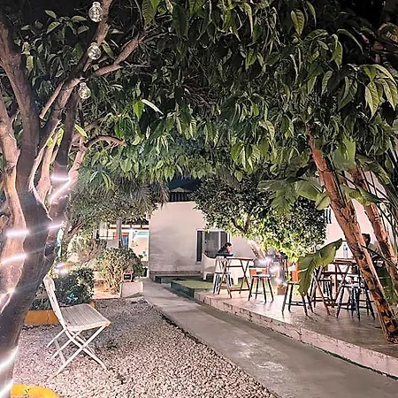 Hostal Orange3