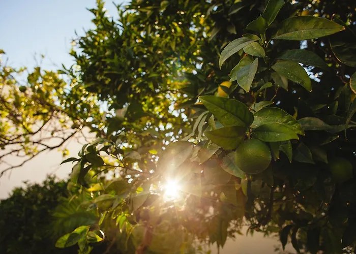 Hostel Orange3 Lagos